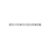 Светодиодная лента SWG SWG2P60-24-4.8-W 005270