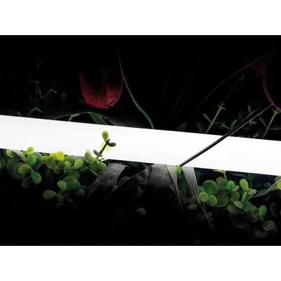 Лента светодиодная SWG PRO  00-00013283