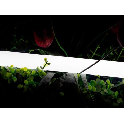 Лента светодиодная SWG PRO  00-00013284