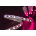 Светодиодная лента SWG SWG560-24-14.4-RGB-M 009271