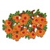 Аксессуар Seletti Camelia