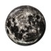 Блюдо Seletti Moon
