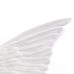 Декоративное панно Seletti Wing Left
