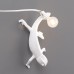 Настенный светильник Seletti Chameleon Going Down USB