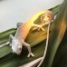 Настенный светильник Seletti Chameleon Going Down USB