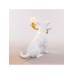 Настольная лампа Seletti Rio