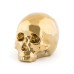 Статуэтка Seletti My Skull Gold