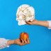 Статуэтка Seletti Skull