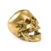 Статуэтка Seletti Wunderkrammer Human Skull