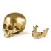 Статуэтка Seletti Wunderkrammer Human Skull