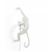 Зверь световой Seletti Monkey Lamp 14879