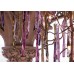 Бра Serip AP1401/4-FP/14+17