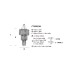 Люстра Serip CT3296/9-FO/10+29