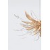 Настенный/Потолочный светильник Serip Dandelion Hana Medium