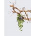 Настенный светильник Serip AP 1511/3 FO/10