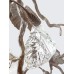 Настенный светильник Serip Calathea Makoyana Small