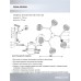 Люстра на штанге Seven Fires Aelin SF3367/6C-BK-FGD-AM