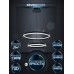 Подвесная люстра Seven Fires Liven SF5023/2P-BK-GD