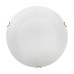 Настенно-потолочный светильник Sonex Ammonite 7602/DL