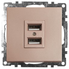 Розетка USB 2-местная Stekker Катрин 39602