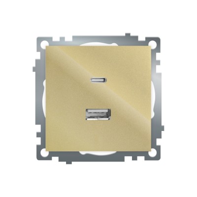 Розетка 2-местная USB + type C Stekker Катрин GLS10-7116-08 50053