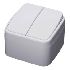 Выключатель двухклавишный Feron Stekker Basic PSW104220 39032
