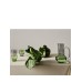 Кувшин Tom Dixon Bump Green