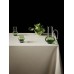 Стакан Tom Dixon Bump Short Green set of 2