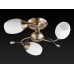 Люстра на штанге TopLight Alana TL3580X-03AB