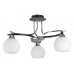 Люстра на штанге TopLight Alison TL2670X-03WC