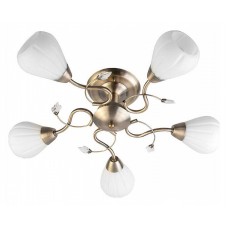 Люстра на штанге TopLight Lorin TL3570X-05AB