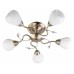 Люстра на штанге TopLight Lorin TL3570X-05AB