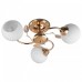 Люстра на штанге TopLight Maria TL3510X-03FG