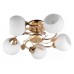 Люстра на штанге TopLight Maria TL3510X-05FG