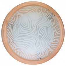 Накладной светильник TopLight Agatha TL9260Y-00PN
