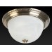 Накладной светильник TopLight Daniela TL5010Y-02AB
