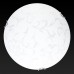 Накладной светильник TopLight Daniela TL9531Y-00WH
