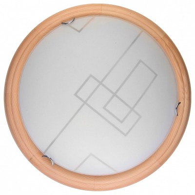 Накладной светильник TopLight Debora TL9540Y-00PN