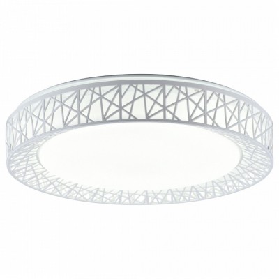 Накладной светильник TopLight Diana TL1204X-72WH