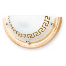 Накладной светильник TopLight Gien TL9170Y-01PN