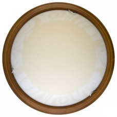 Накладной светильник TopLight Ginger TL9620Y-00OA