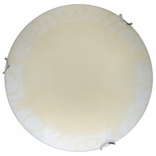 Накладной светильник TopLight Ginger TL9620Y-00WH
