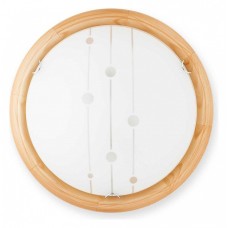 Накладной светильник TopLight Madison TL9033Y-02PN