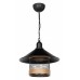 Подвесной светильник TopLight Bryana TL1644H-01BK