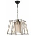 Подвесной светильник TopLight Charity TL1636H-01BK