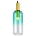 Подвесной светильник TopLight Gwendolyn 1 TL1217H-01GR