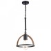 Подвесной светильник TopLight Jasmin TL1179H-01BK