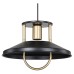 Подвесной светильник TopLight Magdalen TL1659H-01BK