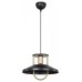 Подвесной светильник TopLight Magdalen TL1659H-01BK