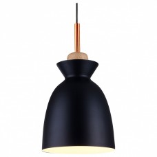 Подвесной светильник TopLight Marylou TL1202H-01BK